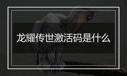 龙耀传世激活码是什么