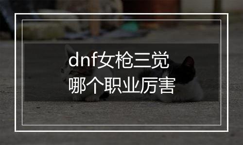 dnf女枪三觉哪个职业厉害