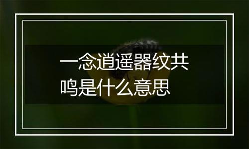 一念逍遥器纹共鸣是什么意思