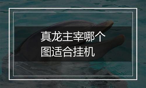 真龙主宰哪个图适合挂机