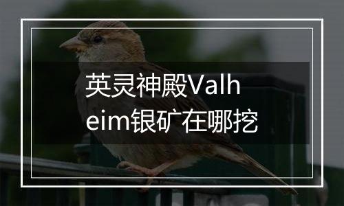 英灵神殿Valheim银矿在哪挖