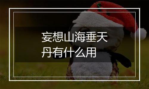 妄想山海垂天丹有什么用