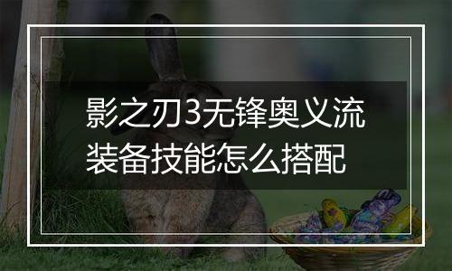 影之刃3无锋奥义流装备技能怎么搭配