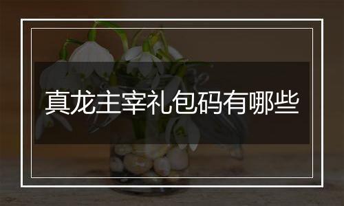 真龙主宰礼包码有哪些