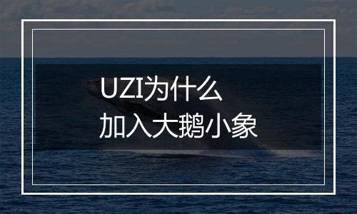 UZI为什么加入大鹅小象
