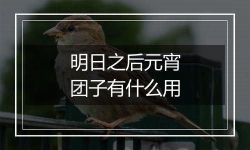 明日之后元宵团子有什么用
