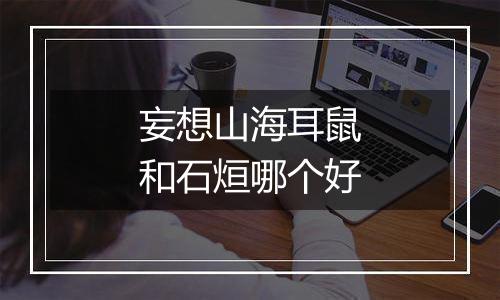 妄想山海耳鼠和石烜哪个好