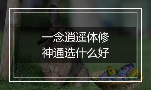 一念逍遥体修神通选什么好