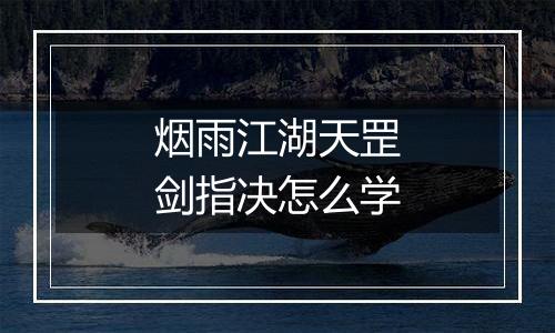 烟雨江湖天罡剑指决怎么学