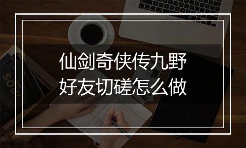 仙剑奇侠传九野好友切磋怎么做