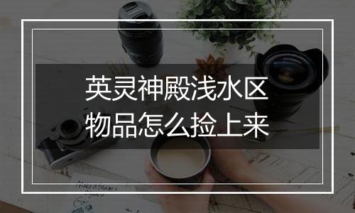 英灵神殿浅水区物品怎么捡上来