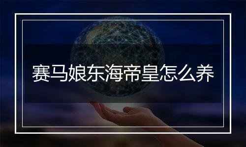 赛马娘东海帝皇怎么养