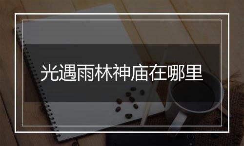 光遇雨林神庙在哪里