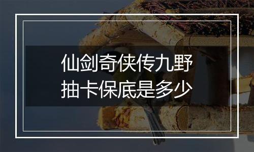 仙剑奇侠传九野抽卡保底是多少
