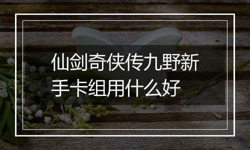 仙剑奇侠传九野新手卡组用什么好