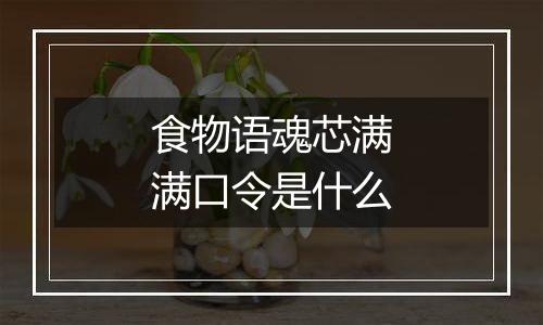 食物语魂芯满满口令是什么