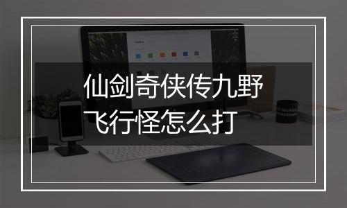 仙剑奇侠传九野飞行怪怎么打