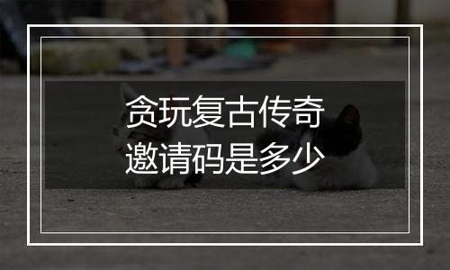 贪玩复古传奇邀请码是多少