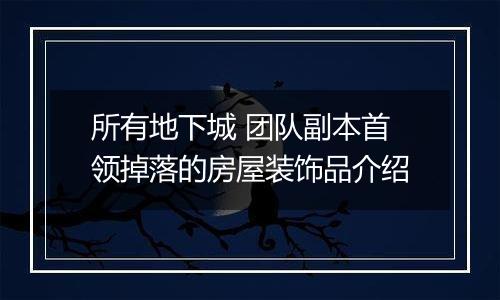 所有地下城 团队副本首领掉落的房屋装饰品介绍