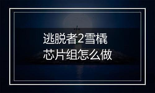 逃脱者2雪橇芯片组怎么做