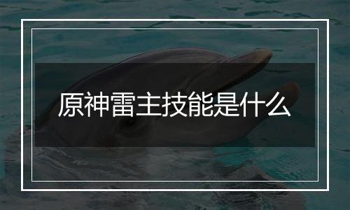 原神雷主技能是什么