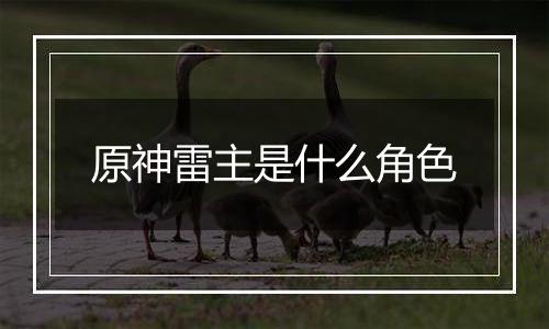 原神雷主是什么角色