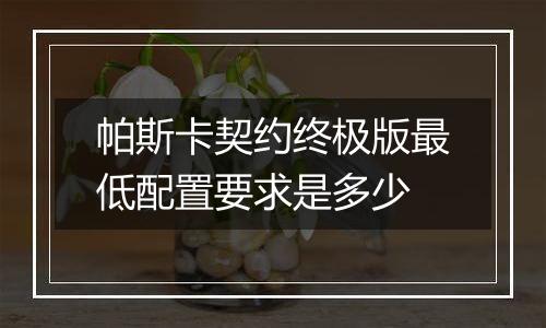 帕斯卡契约终极版最低配置要求是多少