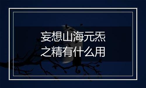 妄想山海元炁之精有什么用