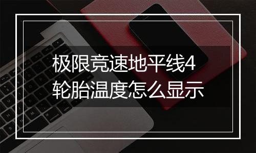 极限竞速地平线4轮胎温度怎么显示