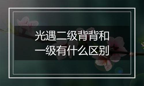 光遇二级背背和一级有什么区别