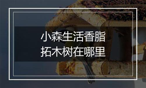 小森生活香脂拓木树在哪里