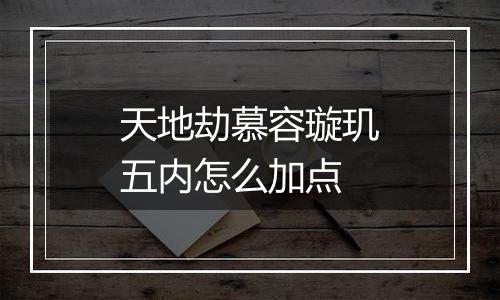 天地劫慕容璇玑五内怎么加点