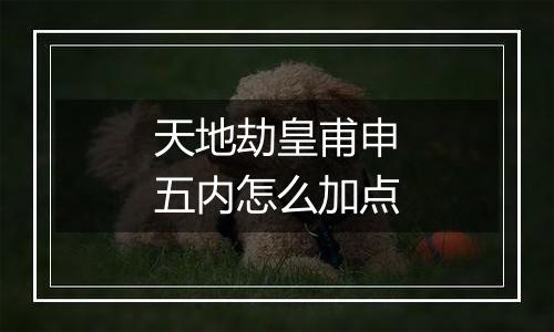 天地劫皇甫申五内怎么加点