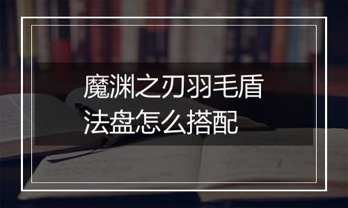 魔渊之刃羽毛盾法盘怎么搭配