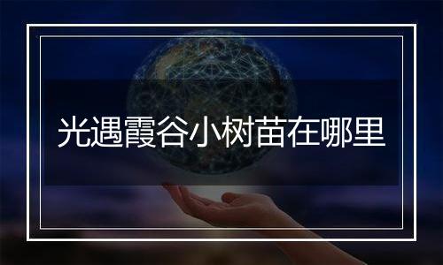 光遇霞谷小树苗在哪里