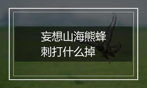 妄想山海熊蜂刺打什么掉