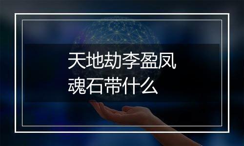 天地劫李盈凤魂石带什么