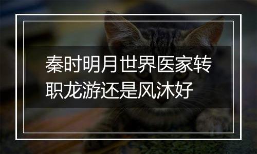 秦时明月世界医家转职龙游还是风沐好