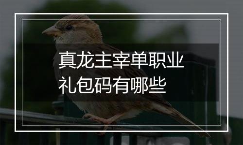 真龙主宰单职业礼包码有哪些