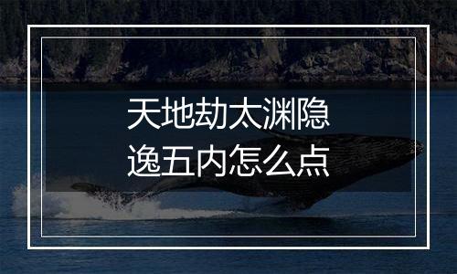 天地劫太渊隐逸五内怎么点