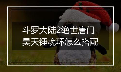 斗罗大陆2绝世唐门昊天锤魂环怎么搭配