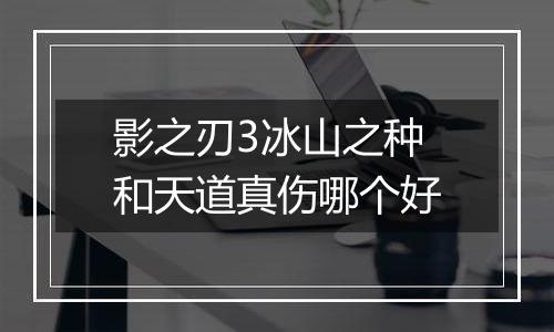 影之刃3冰山之种和天道真伤哪个好