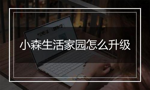 小森生活家园怎么升级