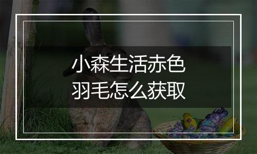 小森生活赤色羽毛怎么获取