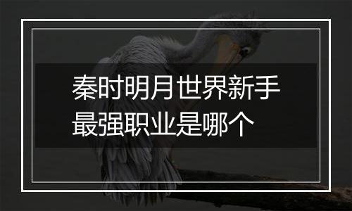秦时明月世界新手最强职业是哪个