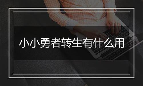 小小勇者转生有什么用