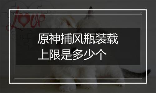 原神捕风瓶装载上限是多少个