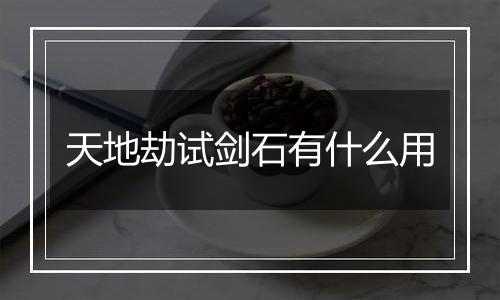 天地劫试剑石有什么用