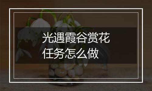 光遇霞谷赏花任务怎么做