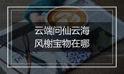 云端问仙云海风榭宝物在哪